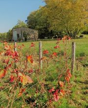 Champagne Remy Massin Et Fils image 7