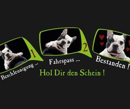 Fahrschule Ponier Bild 1