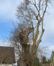 BeJo Grün GmbH Bild 7