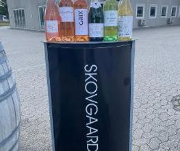 Skovgaard Vine billede 9