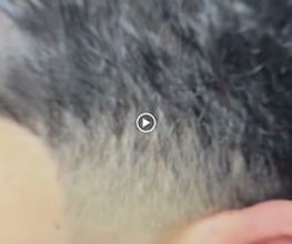 EDRASSI BARBER SHOP imagen 7