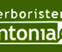 LOGOLISTA.jpg