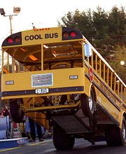 Storchenhof Imkerei Bild 1