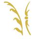 Strauss Finance