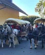 Stall Vogelsang Bild 6