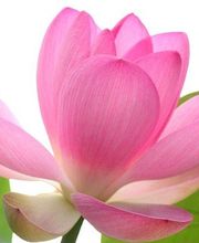 Aux Couleurs De Soi image 1