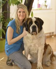 LogoMotive Logopädische Praxis Kristin Fahlberg Bild 6