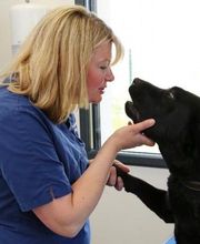 Clinique véterinaire des trois fontaines image 7