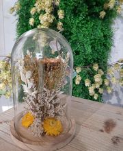 Jardinerie du Bois-Paris image 9