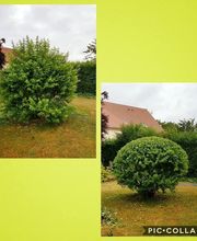 Richard Services image 7