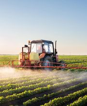 AGRÍCOLA SC imagen 7