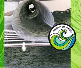 Spiruline des Olonnes image 2