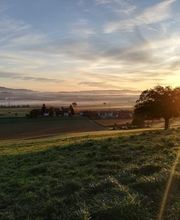 Gasthaus Linde Bild 10