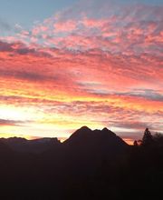 AZIENDA AGRICOLA ARCIONI LUIGI Bild 10