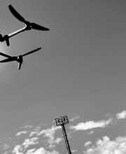 Vivaro Producciones S.L. imagen 9