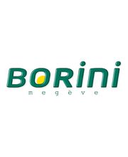 Autocars Borini image 1