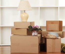 moveco-09-280x255.jpg