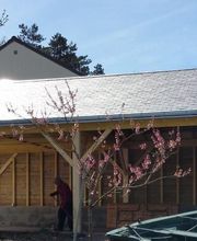 Roué Toiture image 1