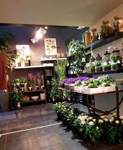 Cannelle Fleurs image 4