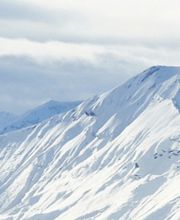 ABC Translation Bild 8