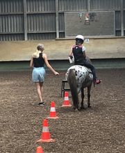 Pferdepensionsstall Bild 3