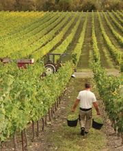 SCE Tresbaudon image 2