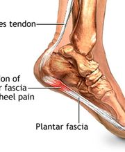 Mountain Home Family Chiropractic image 14