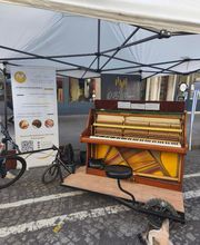 OPS Music image 4