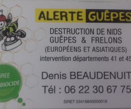 Alerte Guêpes image 3