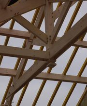 Belly Couverture image 17