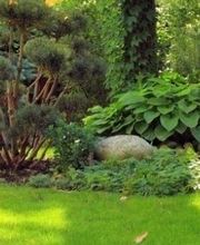 Gärtner Widmer Bild 1