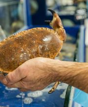 Au Plaisir Iode image 4