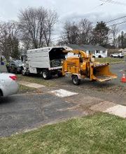 Owen's Tree Expert image 3