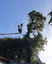 RS Elagages Services image 10