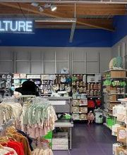 Orchestra SAINT QUAY PERROS - Lannion image 7