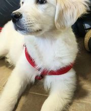 Etologo.es imagen 13