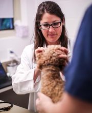 Pound Ridge Veterinary Center image 13