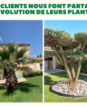 Palmiers Prestige image 10