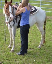 Steige Westernhorses & Hoofcare Bild 2