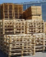 F.M. PALETTES image 2