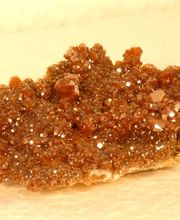 Roig Raymond image 7