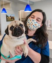 Cainhoy Veterinary Hospital image 17