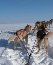 Le Cabot Elegant image 12