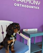 Harmony Orthodontics image 11