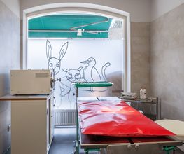 Tierarzt Dr. Jasmin Riemel Bonn