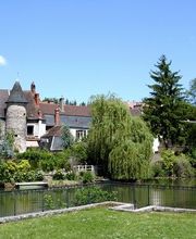 Scp Pidance & Guy image 3