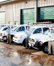 Safe Pro Pest Control image 1