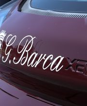 Gallery Professionale