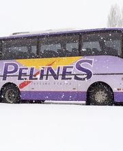 12246286-1-mopUHKcnGG1700721907773.jpeg