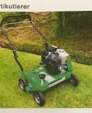 Lussi Garten & Unterhaltsarbeiten Bild 1